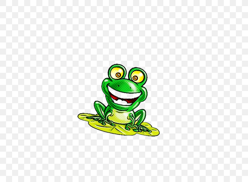 True Frog Tree Frog Frogs Toad Tadpole, PNG, 600x600px, True Frog, American Bullfrog, Australian Green Tree Frog, Biology, Frogs Download Free