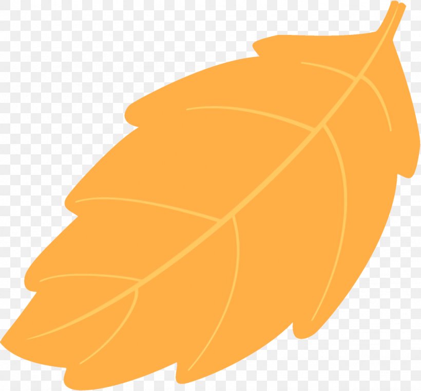 Autumn Leaf Fallen Leaf Dead Leaf, PNG, 1026x952px, Autumn Leaf, Dead Leaf, Deciduous, Fallen Leaf, Leaf Download Free