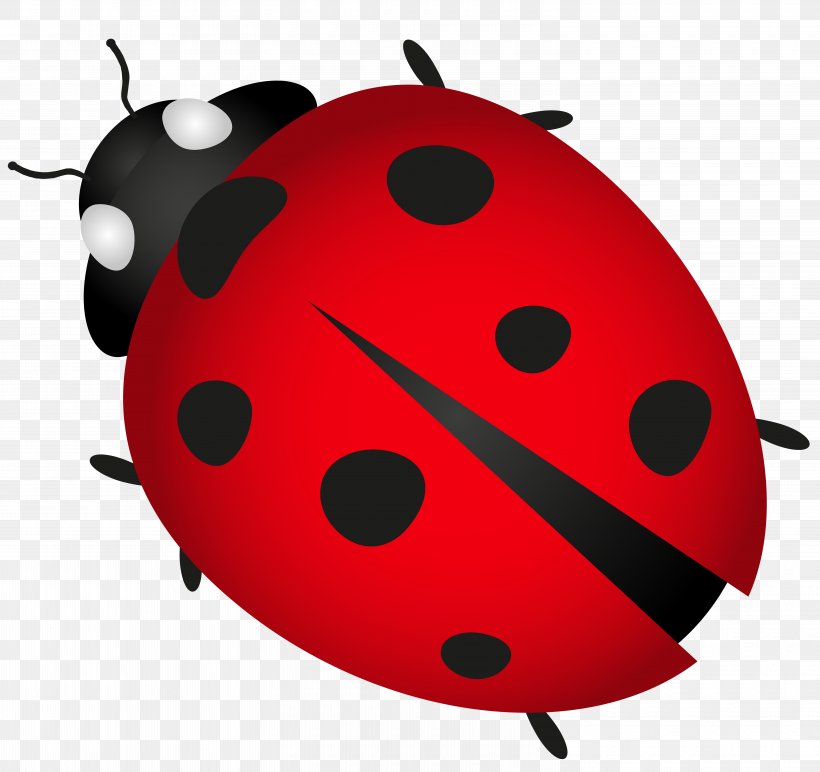 Beetle Ladybird Plagg Clip Art, PNG, 6000x5653px, Beetle, Drawing, Fruit, Grasses, Insect Download Free