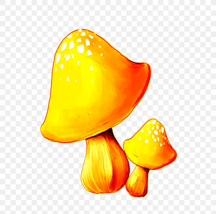 Cartoon Mushroom Clip Art, PNG, 1200x1191px, Cartoon, Food, Fruit, Fungus, Gold Download Free