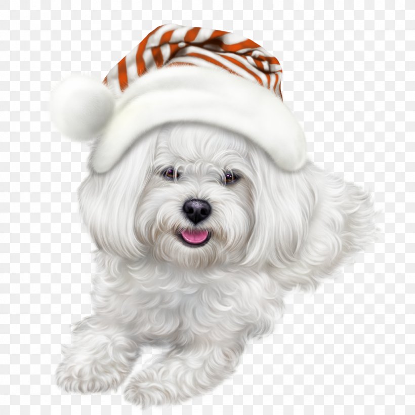 Dog 0 Clip Art, PNG, 1024x1024px, 2017, 2018, Dog, Bichon, Blog Download Free