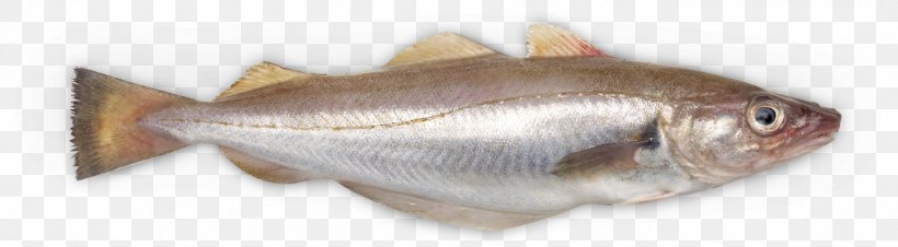 Fish Soup Whiting Ciabatta Northern Red Snapper Rondvis, PNG, 1363x377px, Fish Soup, Animal Figure, Baking, Ciabatta, Dish Download Free