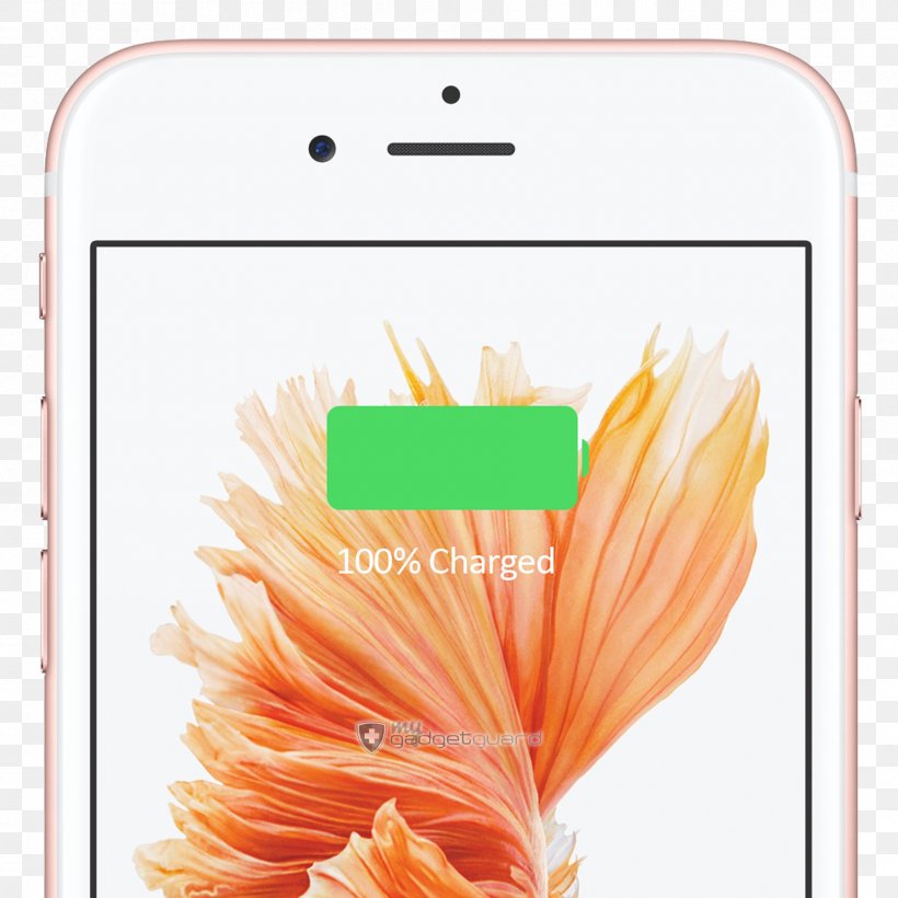 IPhone 6s Plus IPod Touch IPhone 7 Apple, PNG, 1800x1800px, Iphone 6, Apple, Computer Monitors, Feather, Iphone Download Free