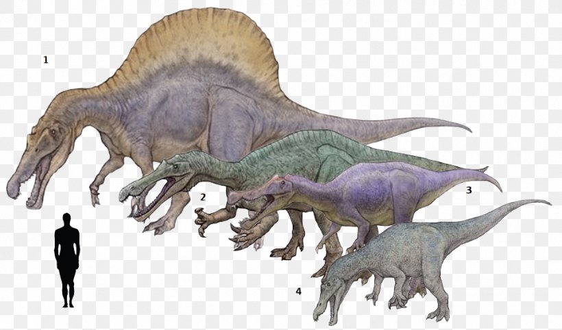 Tyrannosaurus Baryonyx Suchomimus Spinosaurus Irritator, PNG, 964x567px, Tyrannosaurus, Alan J Charig, Animal Figure, Ark Survival Evolved, Baryonyx Download Free