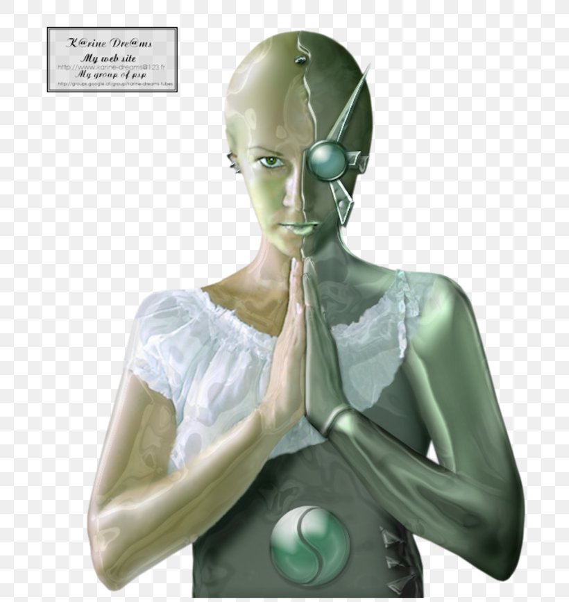 Cyborg Robot Fursonas Organism Droid, PNG, 800x867px, Cyborg, Cris Cyborg, Droid, Figurine, Fursonas Download Free