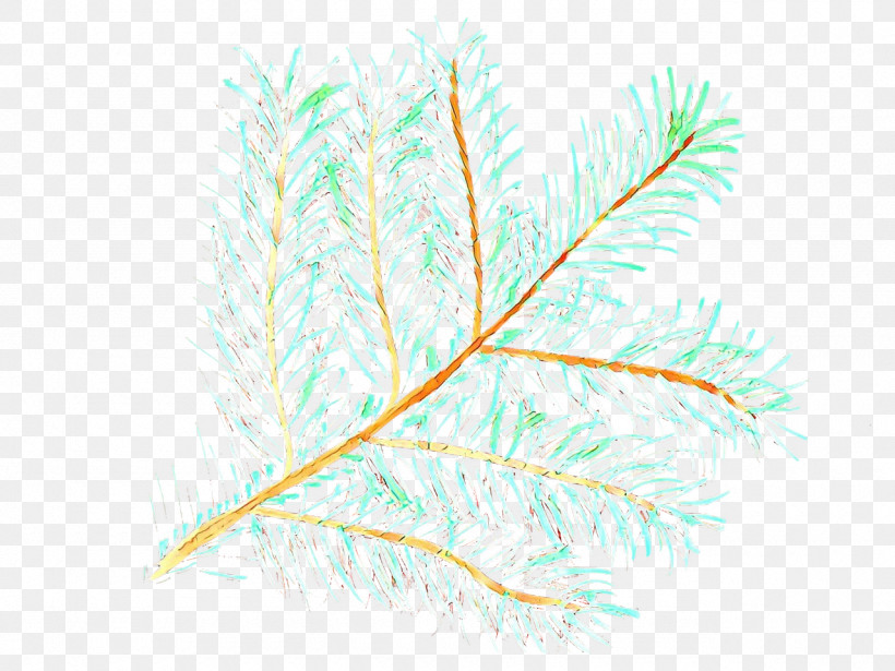 Feather, PNG, 1280x961px, Feather, Grass, Grass Family, Leaf, Plant Download Free