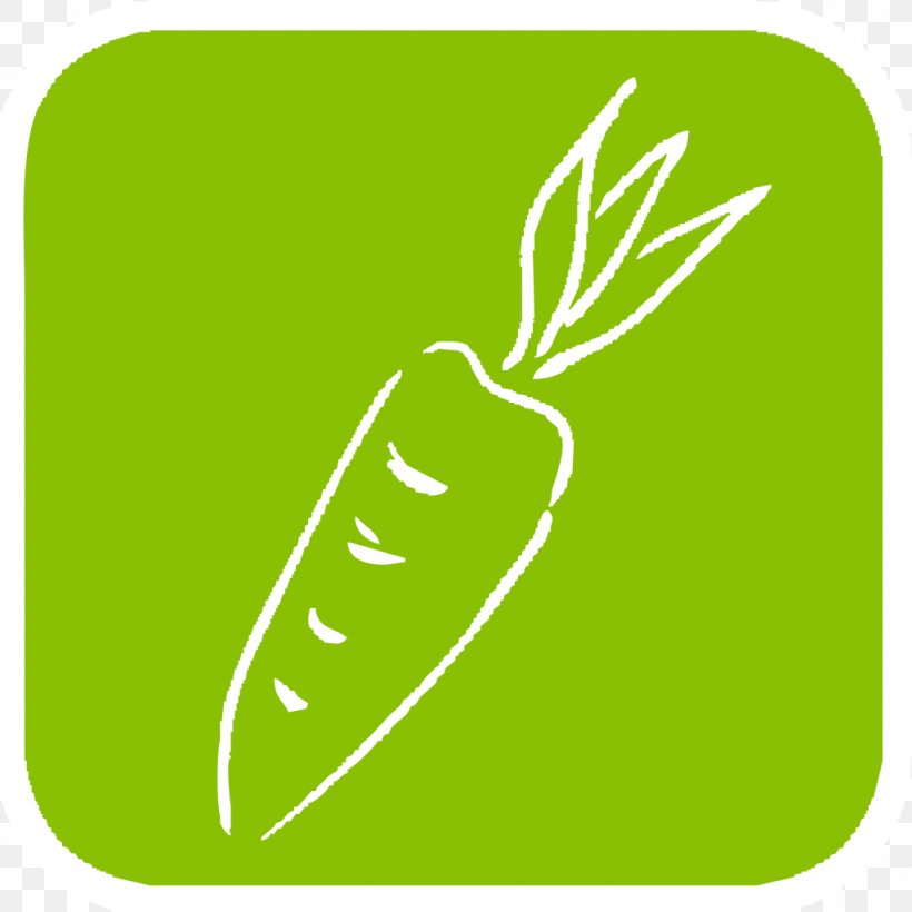 Logo, PNG, 1024x1024px, Logo, Area, Fruit, Grass, Green Download Free