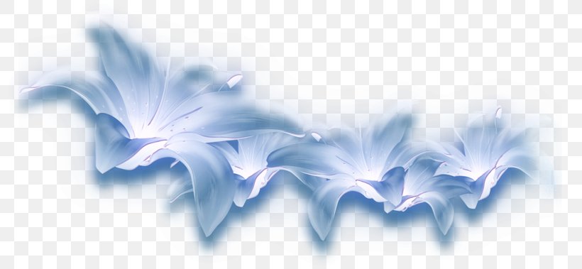 Blue Petal Flower, PNG, 800x379px, Blue, Auglis, Cut Flowers, Drawing, Flower Download Free