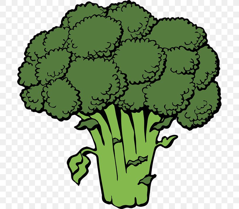 Broccoli Slaw Vegetable Clip Art, PNG, 701x720px, Broccoli Slaw, Broccoli, Cauliflower, Drawing, Flower Download Free