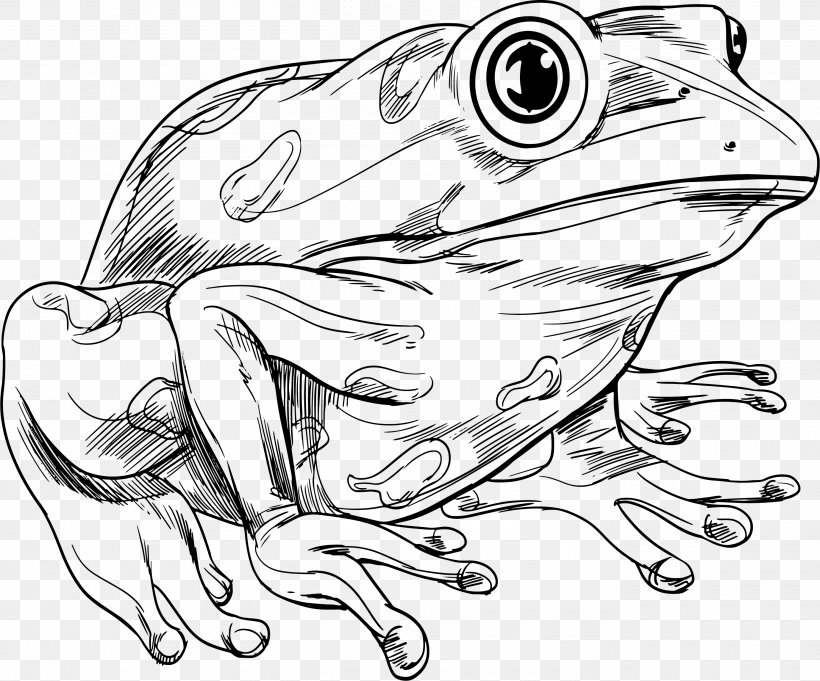 Frog Royalty-free Clip Art, PNG, 2755x2290px, Frog, Amphibian, Art, Artwork, Automotive Design Download Free