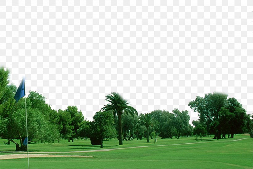Hokkaido We Dream Group Golf Course INES Corporation, PNG, 2000x1335px, Hokkaido, Business, Company, Daytime, Golf Download Free