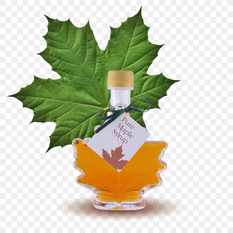 Maple Syrup Lemonade Sugar Substitute, PNG, 1280x1280px, Maple Syrup, Diet, Glass Bottle, Glucose Syrup, Leaf Download Free