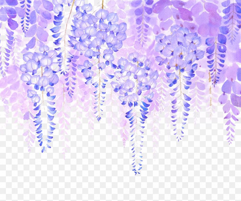 Wisteria Sinensis Wisteria Floribunda Google Images, PNG, 1000x835px, Wisteria Sinensis, Blue, Google Images, Green, Lavender Download Free