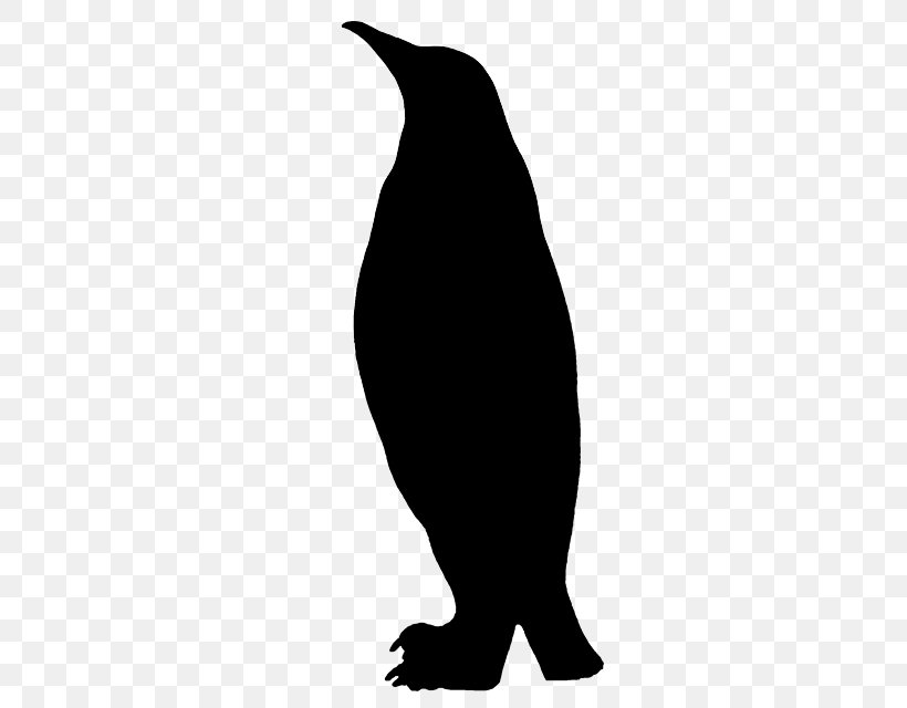 Penguin Clip Art Fauna Silhouette Beak, PNG, 640x640px, Penguin, Beak, Bird, Black M, Blackandwhite Download Free