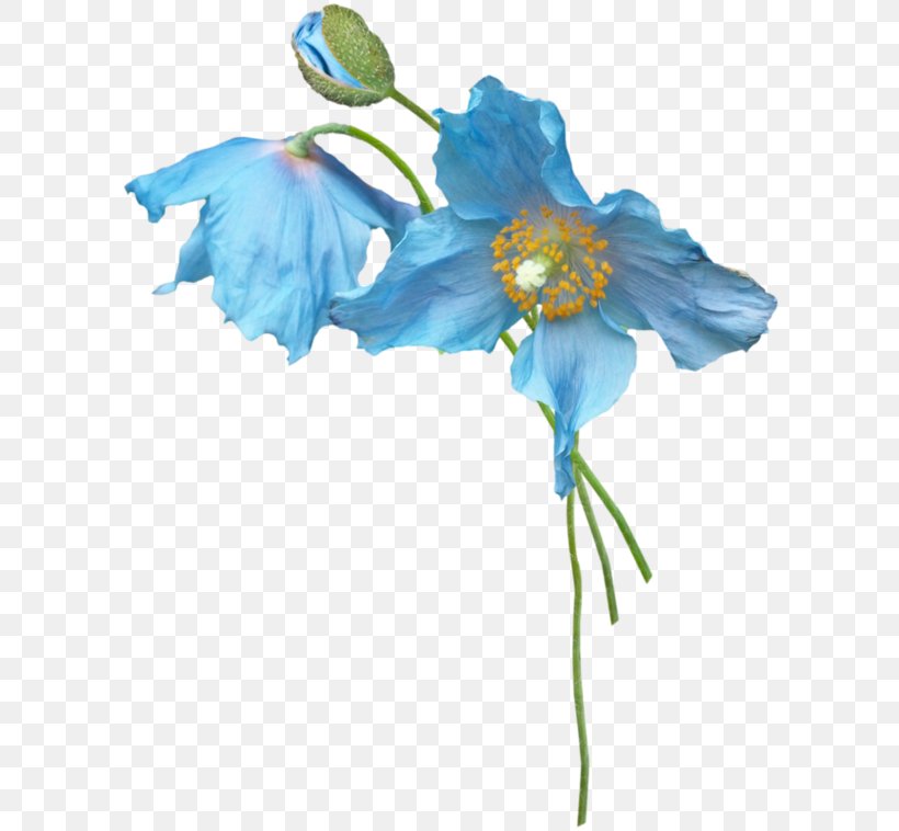 Petal Blue Flower Plant Stem, PNG, 600x758px, Petal, Artificial Flower, Blossom, Blue, Color Download Free