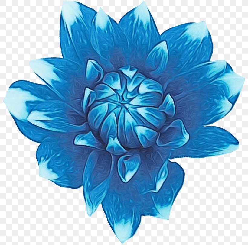 Blue Turquoise Aqua Petal Teal, PNG, 800x811px, Watercolor, Aqua, Aquatic Plant, Blue, Cobalt Blue Download Free