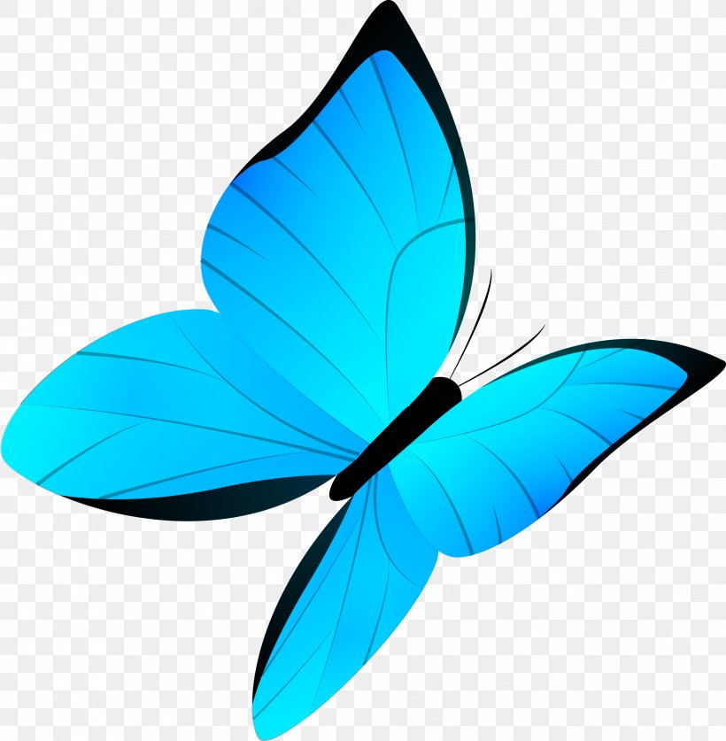 Butterfly Drawing Cartoon, PNG, 3411x3484px, Butterfly, Arthropod, Azure,  Blue, Brush Footed Butterfly Download Free