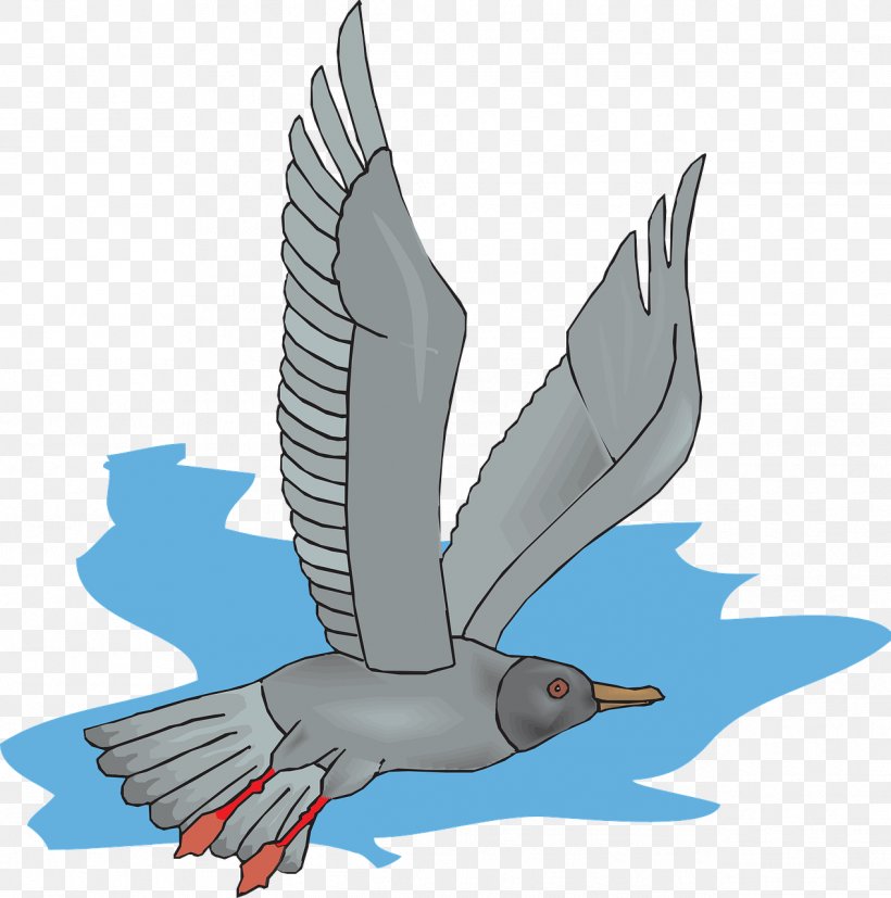 Bird Gulls Flight Clip Art, PNG, 1268x1280px, Bird, Animal, Beak, Blog, Ducks Geese And Swans Download Free