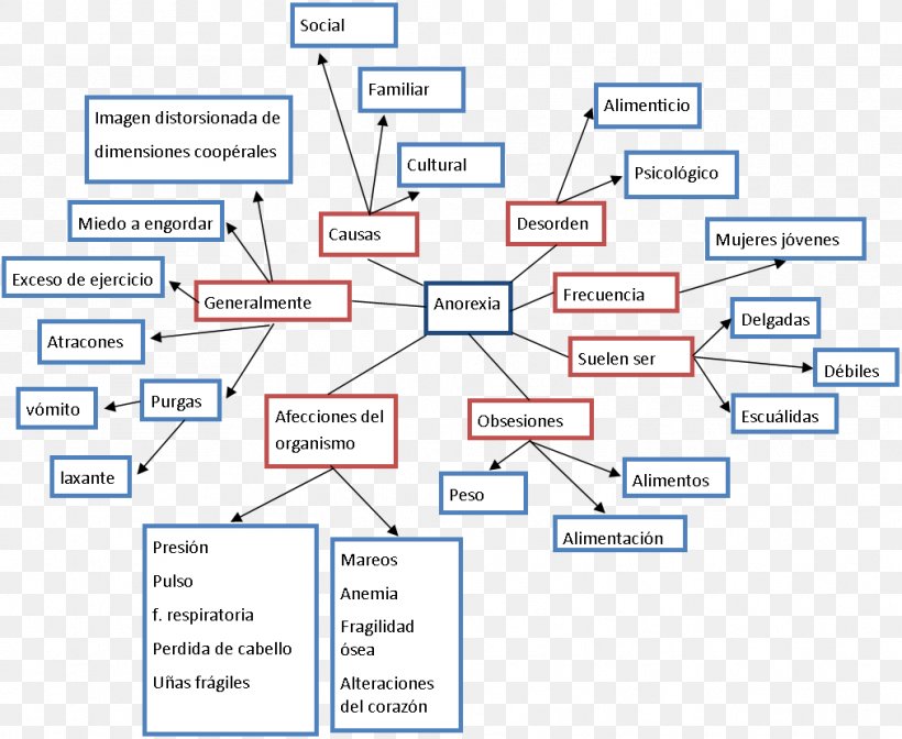 Document Organization, PNG, 1013x831px, Document, Area, Diagram, Organization, Paper Download Free