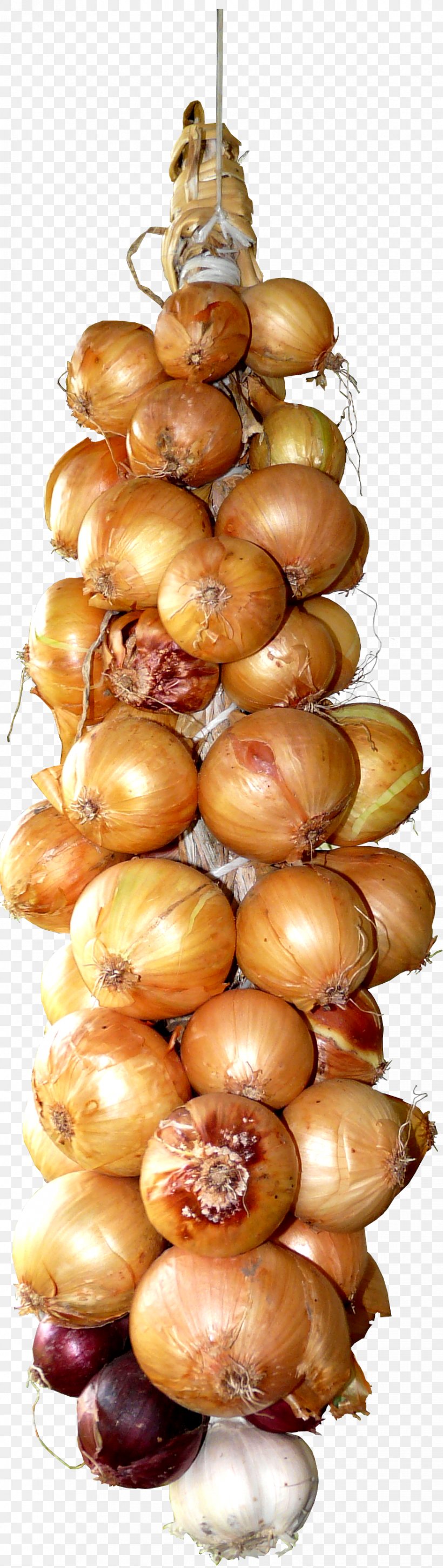 Garlic Onion Food Vegetable, PNG, 879x3113px, Garlic, Bread, Dried Fruit, Finger Food, Food Download Free