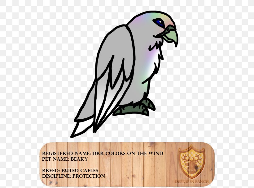 Macaw Beak Feather Clip Art, PNG, 575x605px, Macaw, Beak, Bird, Fauna, Feather Download Free