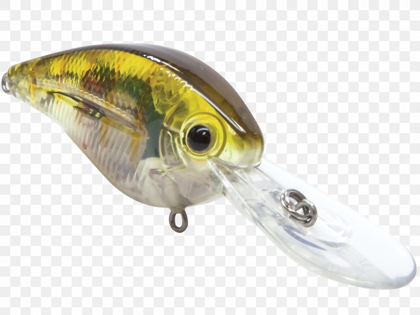 Perch Fishing Baits & Lures Oily Fish Livingston Lures, PNG, 1200x900px, Perch, Bait, Fish, Fishing Bait, Fishing Baits Lures Download Free