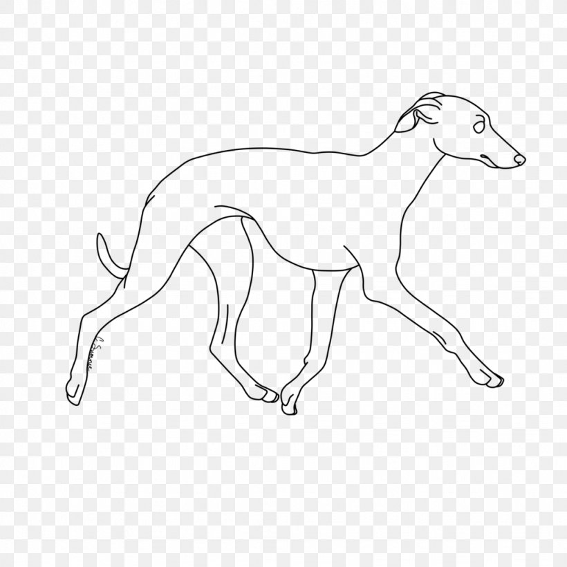Whippet Italian Greyhound Line Art Dog Breed Drawing, PNG, 1024x1024px, Whippet, Art, Artist, Artwork, Black And White Download Free