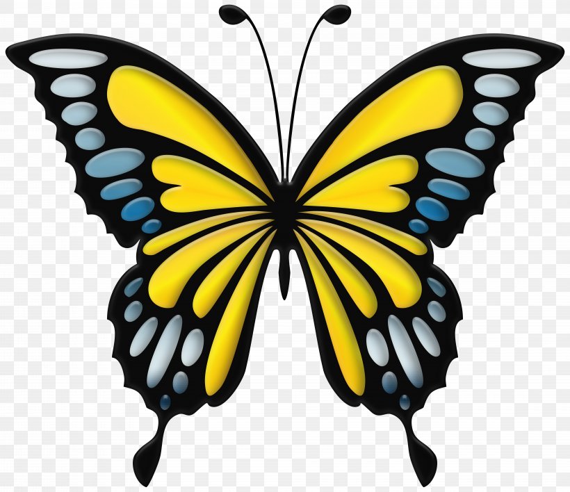 Clip Art Image Swallowtail Butterfly Monarch Butterfly, PNG, 8000x6913px, Swallowtail Butterfly, Arthropod, Brush Footed Butterfly, Butterflies, Butterfly Download Free