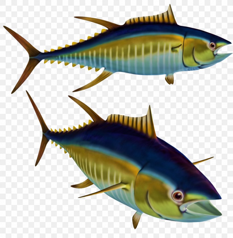 Fish Albacore Tuna Clip Art, PNG, 1024x1044px, Fish, Albacore, Atlantic Bluefin Tuna, Bonito, Bony Fish Download Free