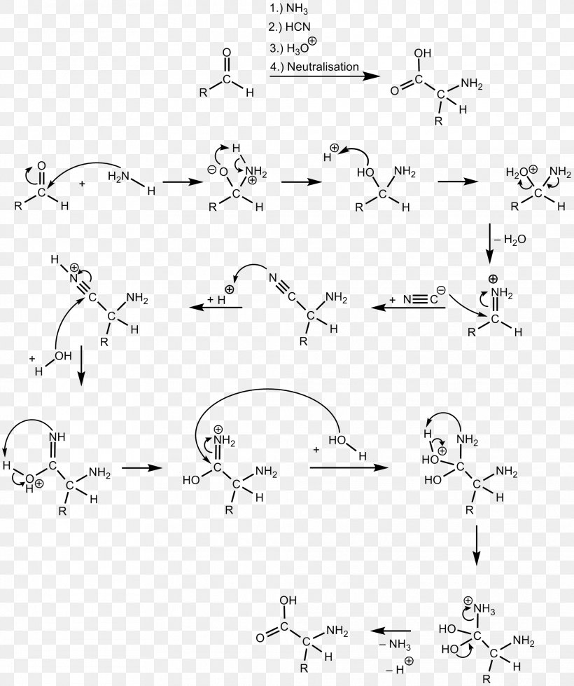 Strecker Amino Acid Synthesis Chemical Synthesis Cyanide Chemical Reaction Hydrolysis, PNG, 2027x2421px, Strecker Amino Acid Synthesis, Aldehyde, Amino Acid, Area, Auto Part Download Free