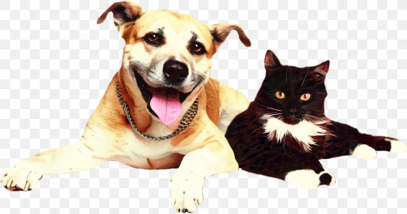 Dog And Cat, PNG, 1400x739px, Dog, American Pit Bull Terrier, American Staffordshire Terrier, Animal, Animal Shelter Download Free