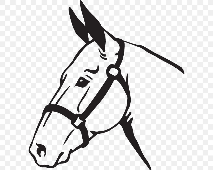 Mule Clip Art Donkey Image Vector Graphics, PNG, 600x656px, Mule, Art, Artwork, Black, Black And White Download Free