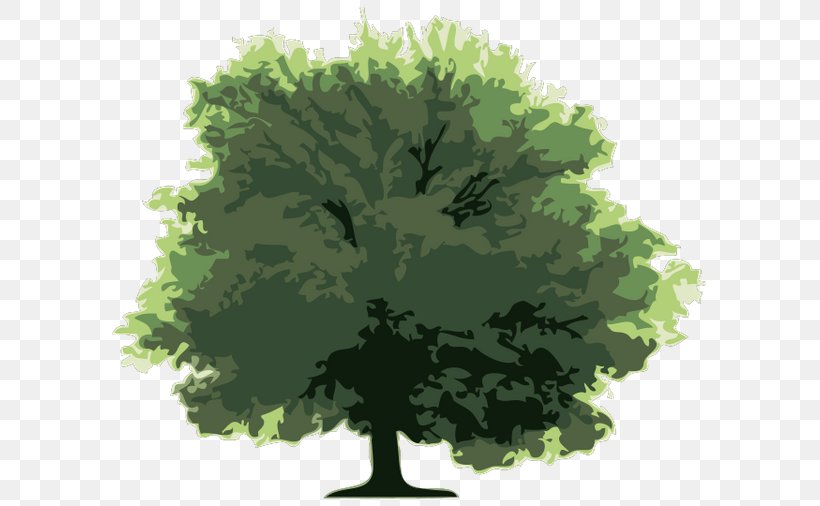 Tree, PNG, 600x506px, Tree, Branch, Cartoon, Copyright, Grass Download Free