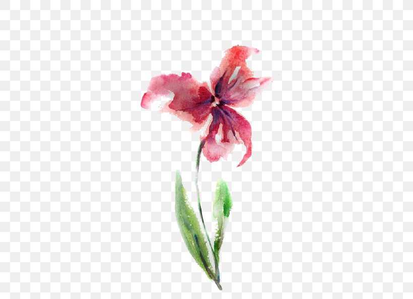 Watercolour Flowers Watercolor: Flowers Watercolor Painting Drawing, PNG, 440x593px, Watercolour Flowers, Abstract Art, Art, Botanical Illustration, Canna Family Download Free