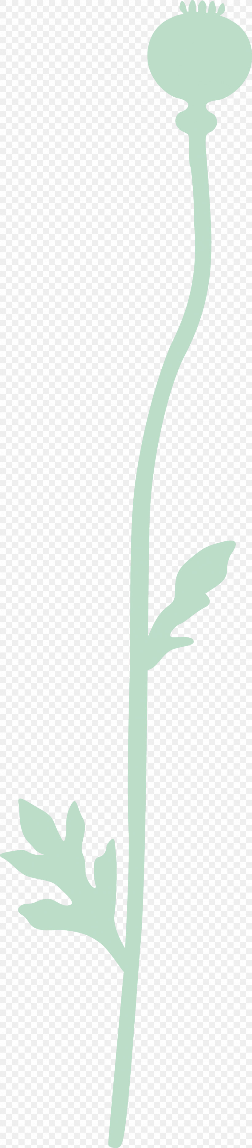 Poppy Flower, PNG, 1024x4658px, Poppy Flower, Arum Family, Green, Leaf, Logo Download Free