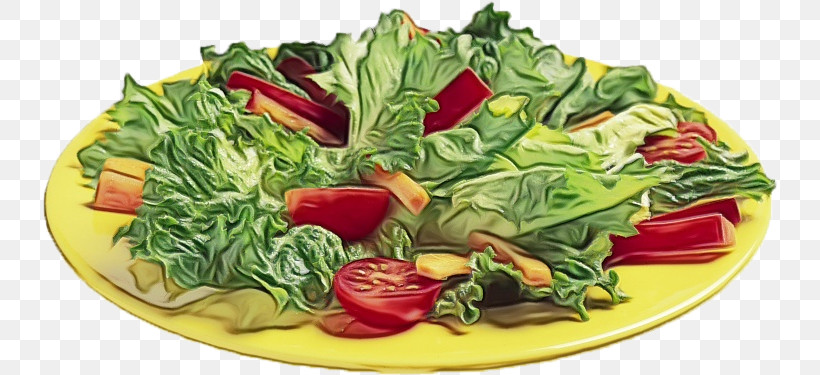 Salad, PNG, 734x375px, Watercolor, Chard, Paint, Salad, Spinach Download Free
