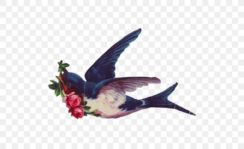Swallow Tattoo Abziehtattoo Bird, PNG, 500x500px, Swallow, Abziehtattoo, Barn Swallow, Beak, Bird Download Free