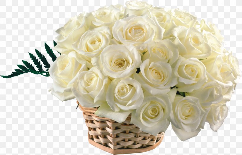 Desktop Wallpaper Rose Flower Bouquet White, PNG, 1280x821px, Rose, Artificial Flower, Blue, Cut Flowers, Floral Design Download Free