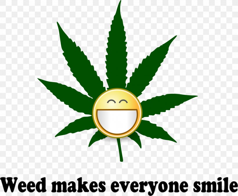Medical Cannabis Smoking Drug Clip Art, PNG, 2101x1731px, Cannabis, Artwork, Cannabis Sativa, Cannabis Smoking, Drug Download Free