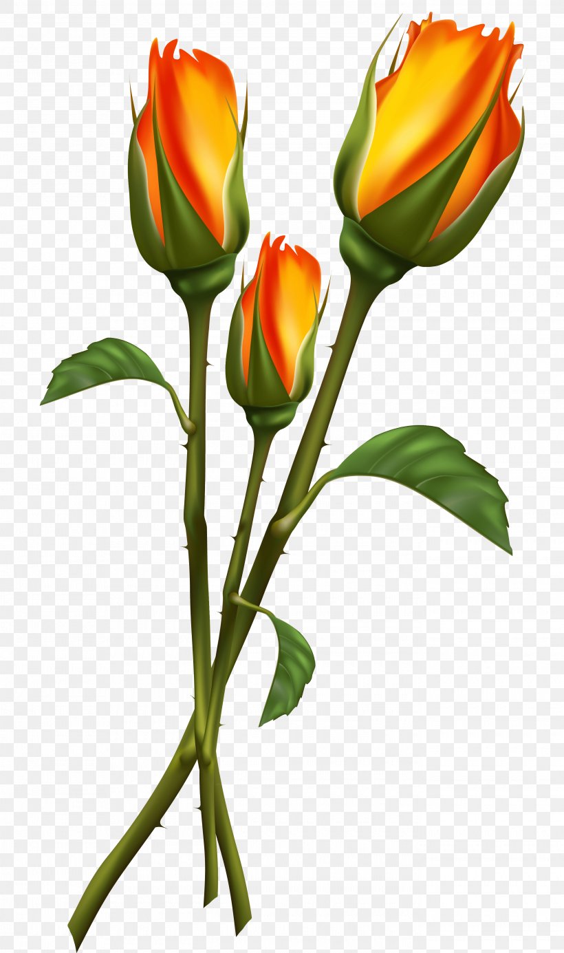 Rose Flower Clip Art, PNG, 2740x4631px, Rose, Black Rose, Bud, Cut Flowers, Floral Design Download Free