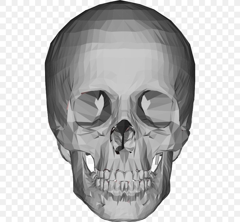 Skull Head Bone Clip Art, PNG, 514x758px, 3d Computer Graphics, Skull, Black And White, Bone, Drawing Download Free