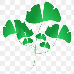 Banana Leaves - Clip Art PNG