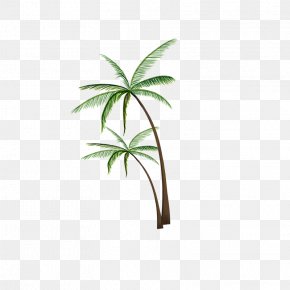 Coconut Tree Pattern - Coconut Tree Clip Art PNG