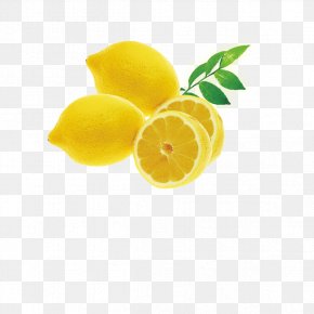 Fresh Lemon - Lemon High-definition Television Display Resolution High-definition Video Wallpaper PNG