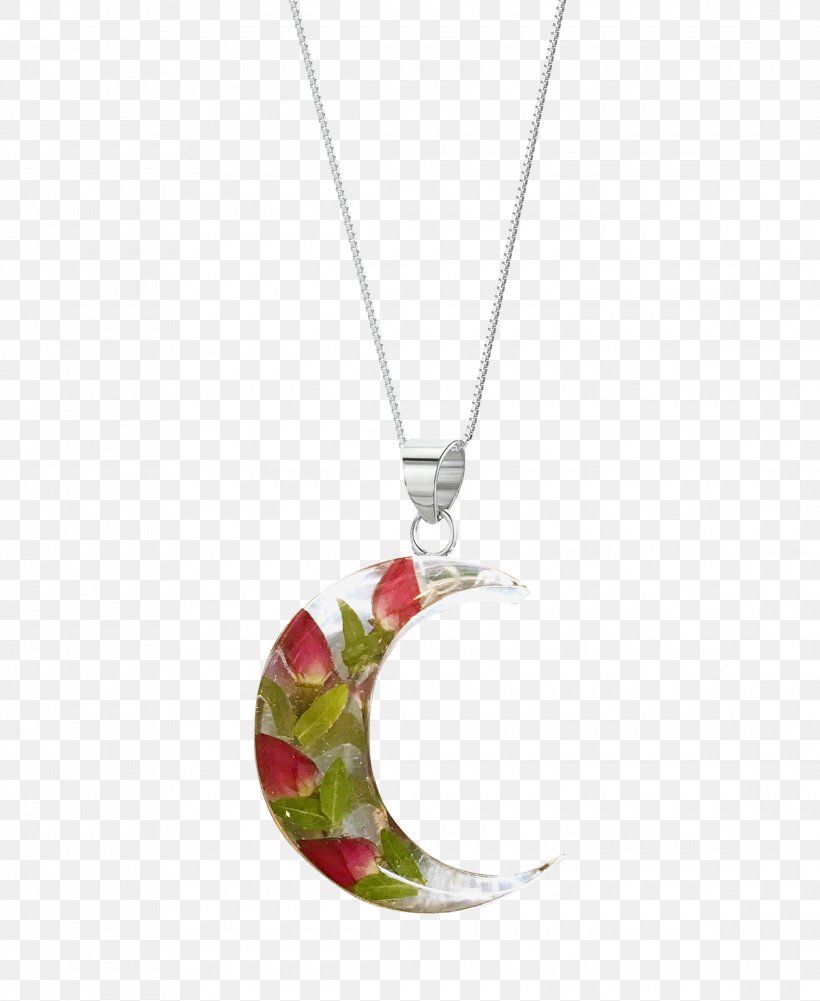 Locket Necklace Charms & Pendants Sterling Silver, PNG, 2280x2784px, Locket, Body Jewellery, Body Jewelry, Charms Pendants, Fashion Accessory Download Free