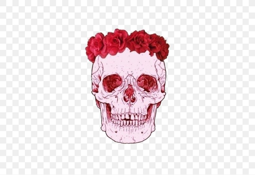 Sticker Decal Human Skull Symbolism Adhesive, PNG, 560x561px, Sticker, Adhesive, Bone, Bumper Sticker, Decal Download Free