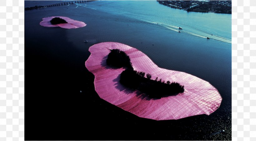 Surrounded Islands Biscayne Bay Pont Neuf Christo And Jeanne-Claude Land Art, PNG, 976x538px, Pont Neuf, Art, Artist, Contemporary Art, Installation Art Download Free