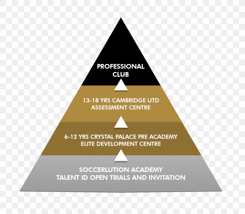 Football Player Pyramid Organization Youth System, PNG, 1000x876px, Football, Academy, American Football, Brand, Diagram Download Free