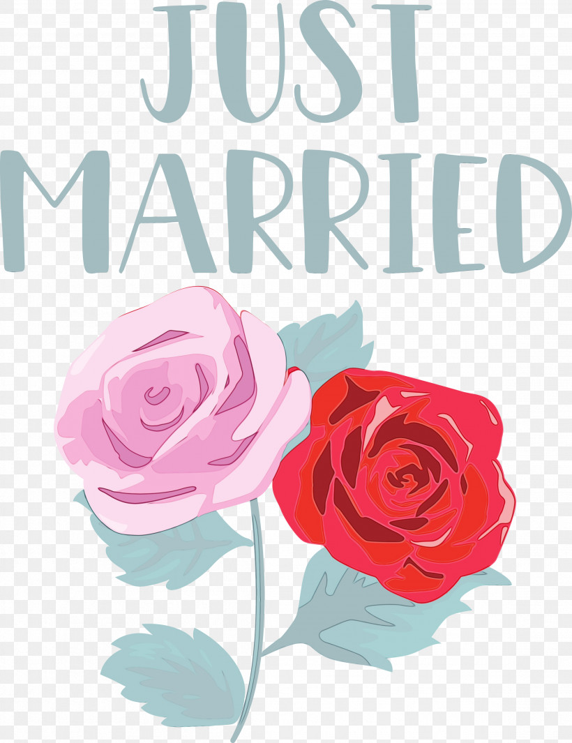 Garden Roses, PNG, 2309x3000px, Just Married, Beach Rose, Cabbage Rose, Cut Flowers, Floral Design Download Free