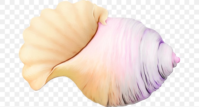 Pink Shankha Conch, PNG, 665x442px, Watercolor, Conch, Paint, Pink, Shankha Download Free